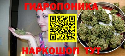 каннабис Будённовск