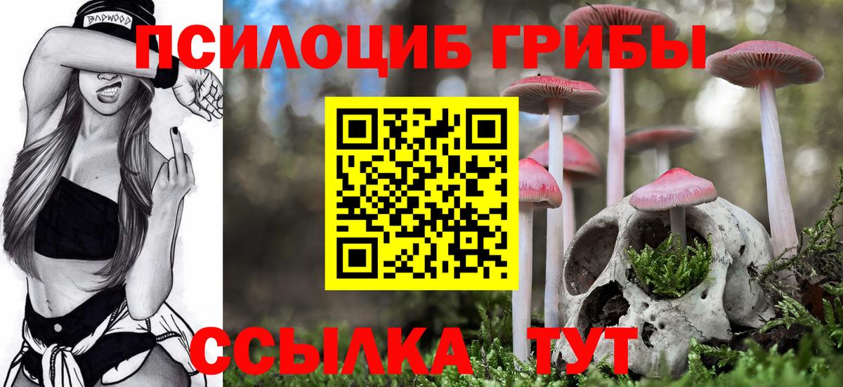 Галлюциногенные грибы GOLDEN TEACHER Шатура
