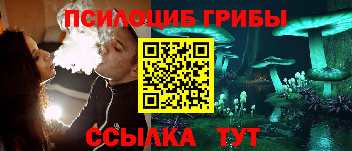 Псилоцибиновые грибы GOLDEN TEACHER  Вход с VPN  Шатура 